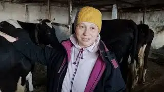 Как Вася на Ларису жаловался