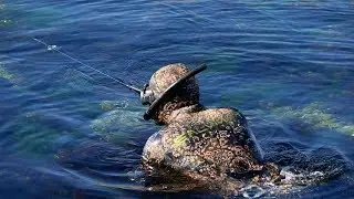 ЗИМНИЙ ГОРБЫЛЬ. ПОДВОДНАЯ ОХОТА В ПАДЕНИИ.