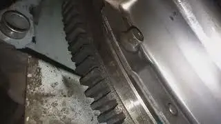 новый тревал сцепление