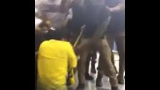 الاتحاد سيد البلد .. يا جهلاوية .. علقة ساخنة لمشجع أهلاوى من جماهير الاتحاد السكندرى