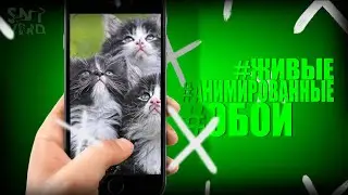 ➥ КАК ПОСТАВИТЬ ЖИВЫЕ ОБОИ НА ANDROID [IPHONE]? ► КАК УСТАНОВИТЬ ЖИВЫЕ ОБОИ? ► КАК СОЗДАТЬ ГИФКУ?