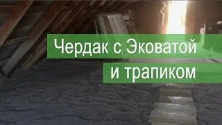 Чердак с Эковатой и трапиком