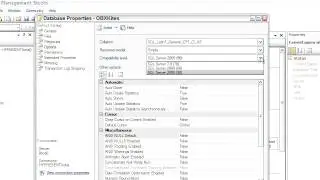Sql Server  Explaining the Database Properties Dialog