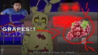 this attraction is great (2024 edition)