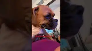 #viralvideo