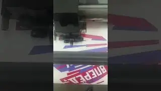 Как печатают наклейки .