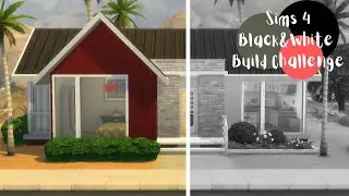 SZARO TO WIDZĘ |Sims 4 budowanie w czarno-białym filtrze