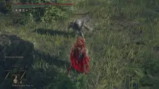 Elden ring pvp