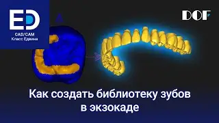 Как создать библиотеку зубов в экзокаде
