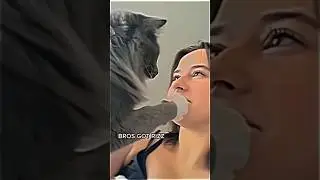 Memes from the internet 😂 part 26 #memes #shorts #viral #funny