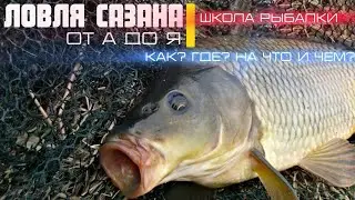 CARP fishing from A to Z. Know and CATCH the river strongman. Fishing school 