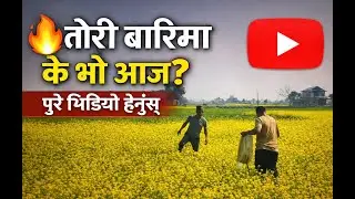 गाउँघरको मायाले तानिरह्यो मन,गाउँ छोडेर परदेश जानै गाह्रो भयो।The kaushal pode cast show //