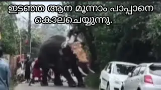 ഇടഞ്ഞ ആന മൂന്നാം പാപ്പാനെ കൊല ചെയ്യുന്നു, ദേവസേനൻ - 10 | Elephant attack video