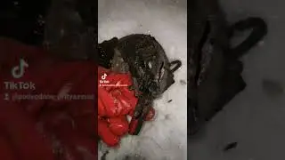 швейцарский нож на поисковый магнит 