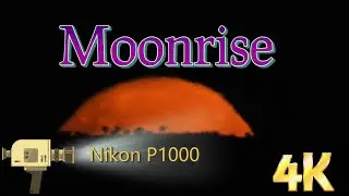 Full Moon Rising in 4K at the Whyalla Marina (February 25-2024) Nikon P1000
