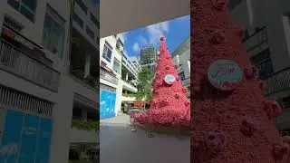 One Holland Village new mall (pet-friendly)