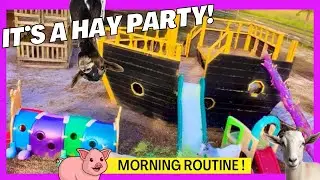CWM To Wake up the Animals!☀️