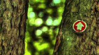 HDR Free to Use HD Stock Video Footage