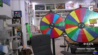 mizkif wtf
