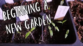 The Start of a New Garden and My 2022 Tomatoes | Homestead Dreaming