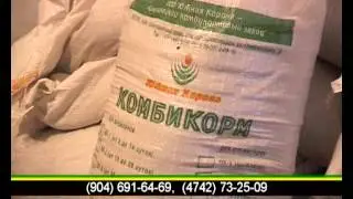 Южная Корона г. Липецк