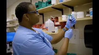 Carle Pharmacy Tech Experience