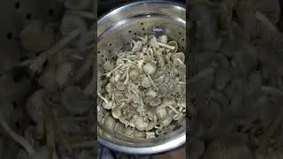 Harvesting Birds Mushrooms & I'm Cooking It(ilocano cuisine) | Wild & Organic | "Uong Bilit" | 🍄🐦🌿💚