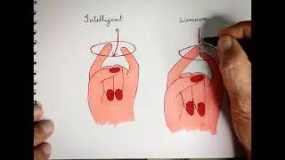 Personality drawing | Drawing describing personality