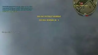 BF2 2010-04-03 13-19-36-46.avi