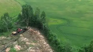 Вырубка лесов в Латвии.