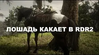 Лошадь какает в RDR2