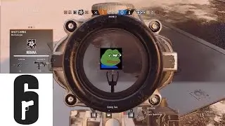 Feels Bad Morte
