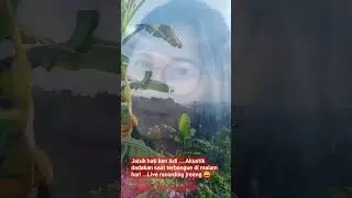 Jatuh Hati Bagian 4 #putuwawangc #adadishorts #adabanyakepicmoment #lagubali2023 #akustikbali