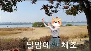 달밤에 체조