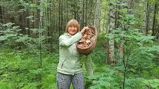 Amputee. MUSHROOM DAY.