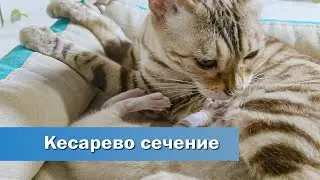 Кесарево сечение: лечение и реабилитация