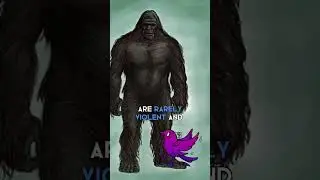 Bigfoot’s Australian COUSIN?! Meet the Yowie 🦘 