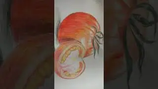 Tomato drawing #trending #viral #allinone #instagram #tomato #tomatodrawing #viralshorts #shorts