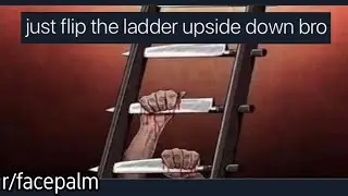 r/facepalm | bro,, just flip the ladder