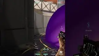 Exp 
