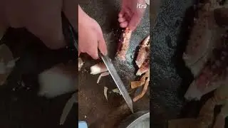 lobstar cuting skill