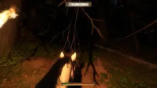 All I need is to cross the forest || Kingdom Come: Deliverance