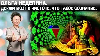 ДЕРЖИ МОЗГ В ЧИСТОТЕ. ЧТО ТАКОЕ СОЗНАНИЕ. ОЛЬГА НЕДЕЛИНА.