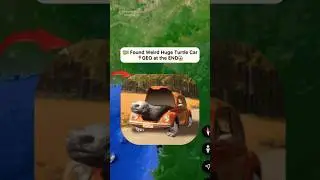 😨I Found Very Weird Turtle Car in Real Life On Google Earth 😱! 