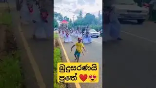 පුංචි නැට්ටුවා ❤️