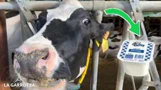 Visita con niños para ver COMO SE HACEN los YOGURES en La Fageda (Garrotxa)