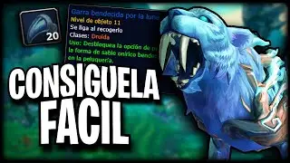 Consigue esta NUEVA FORMA Feral | Sable Orinoco Bendecido por la Luna | WOW: DRAGONFLIGHT