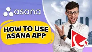 How to Use Asana For Project Management