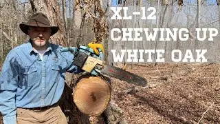 Vintage 1970s Homelite XL-12 Chainsaw Review