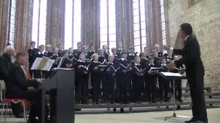 Tölzer Knabenchor - Stella Coeli - J.M. Haydn